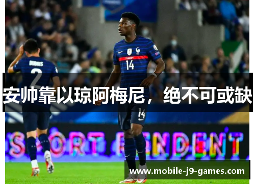 安帅靠以琼阿梅尼，绝不可或缺